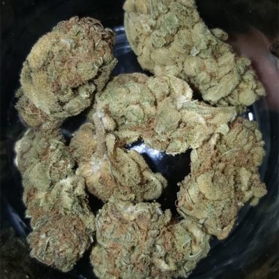 Siam Delight Marijuana Strain UK