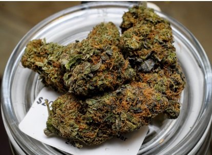 7-Way Marijuana Strain UK