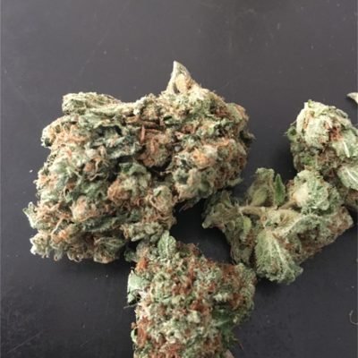 Berry Haze Weed Strain UK