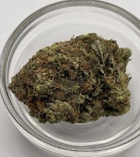 Gushers Cannabis Strain UK