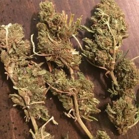 Reggie Cannabis Strain UK