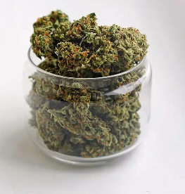 Zookies Cannabis Strain UK