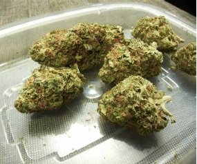 Happy Hiker Weed Strain UK