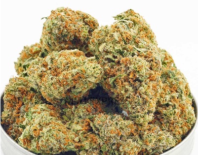 Mimosa Weed Strain UK