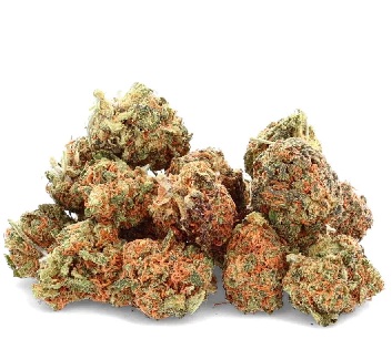 Green Crack Weed Strain UK