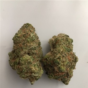 Candyland Marijuana Strain UK