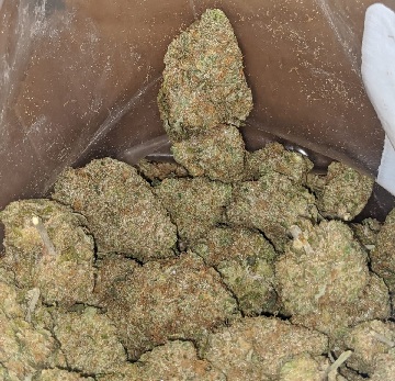 Chocolope Marijuana Strain UK
