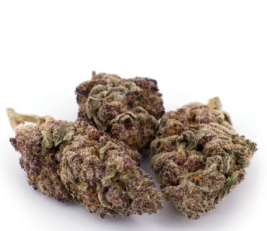 Granddaddy Purple Marijuana Strain UK
