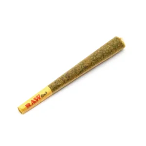 Watermelon Kush Cake Pre roll Joints UK