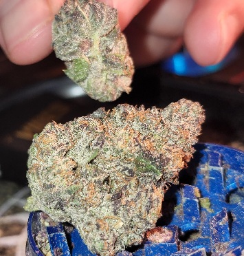 DNA Cake Cannabis Strain UK