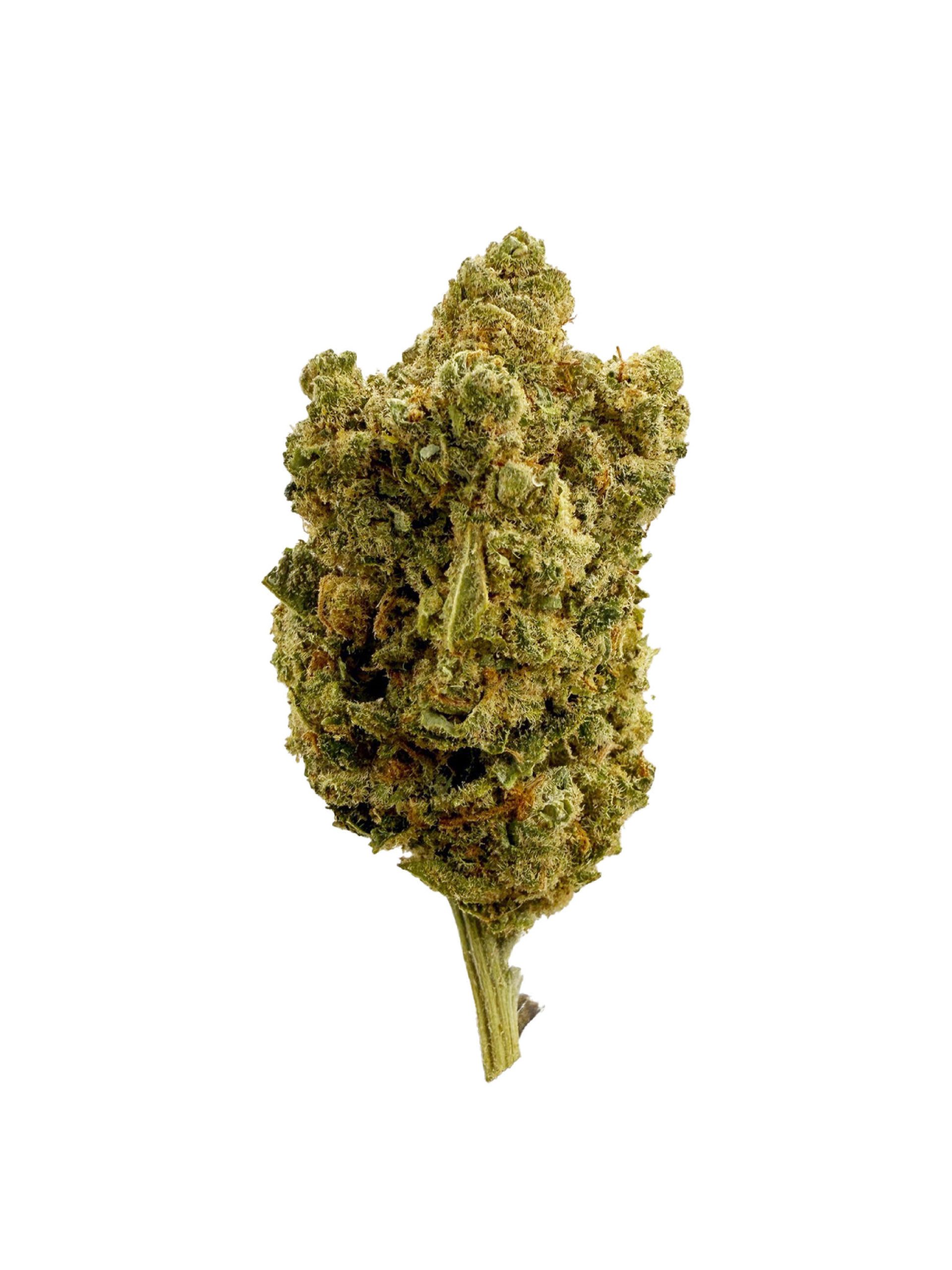 Amnesia Haze Premium CBD Flower