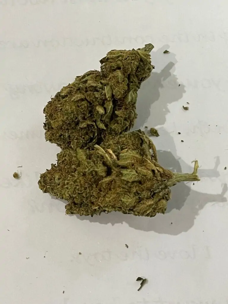 Buddhas berry hemp tea